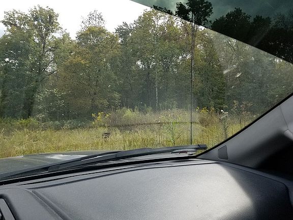 4th image of 950 Kaw Liga Dr