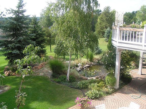 Summer View