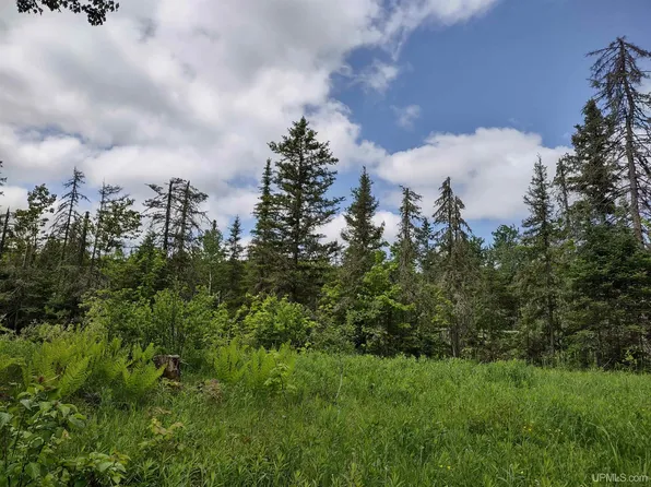 59ACRE S Us Highway 141, Covington, MI 49919