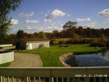 Back Yard View