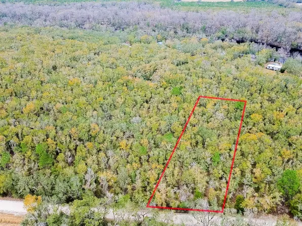 11 NE Tansy Rd Lot 30, Mayo, FL 32066