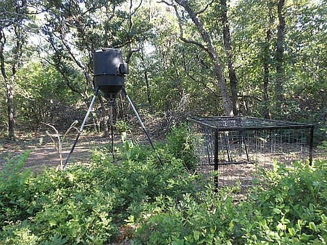 1st image of 712 County Road 389