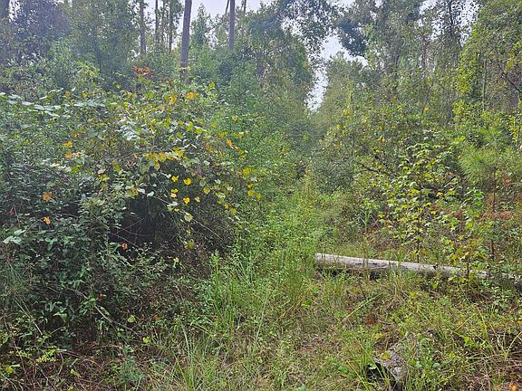 5th image of 0 181st Rd