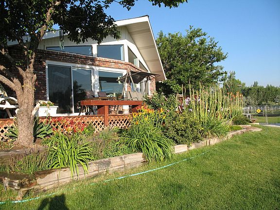 Peaceful Backyard