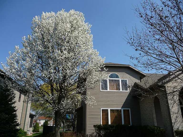2704 Cherry Hills Dr — Photo 37