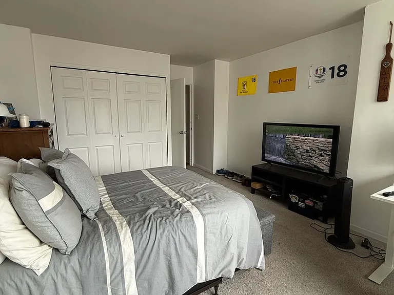 222 E Pearson St #2406 — Photo 10