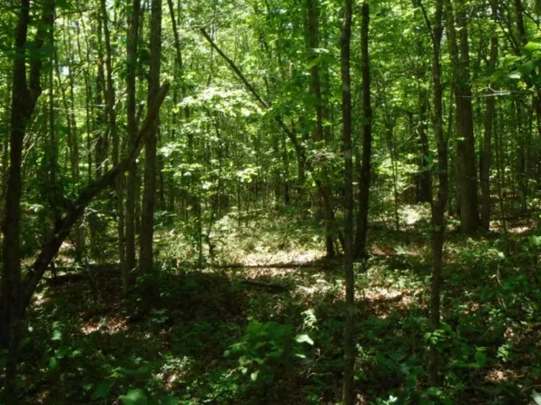 129 Rushing Springs Rd, Monterey, TN 38574