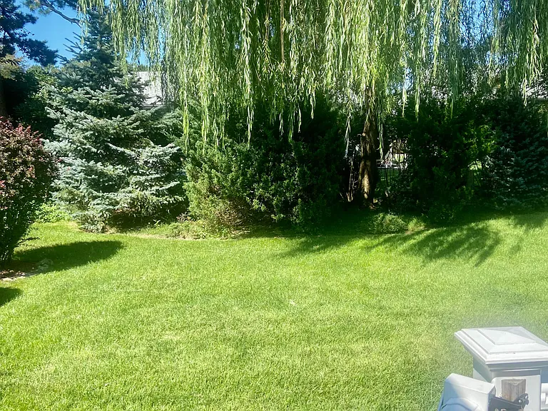 7 Basset Dr — Photo 19