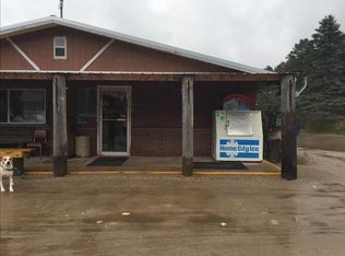 10522 N Hodenpyle Dam Rd, Mesick, MI 49668