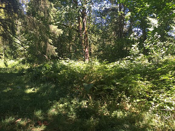 5th image of 12XX Valley Hwy