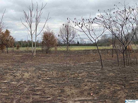 3rd image of 1441 Charity Ln