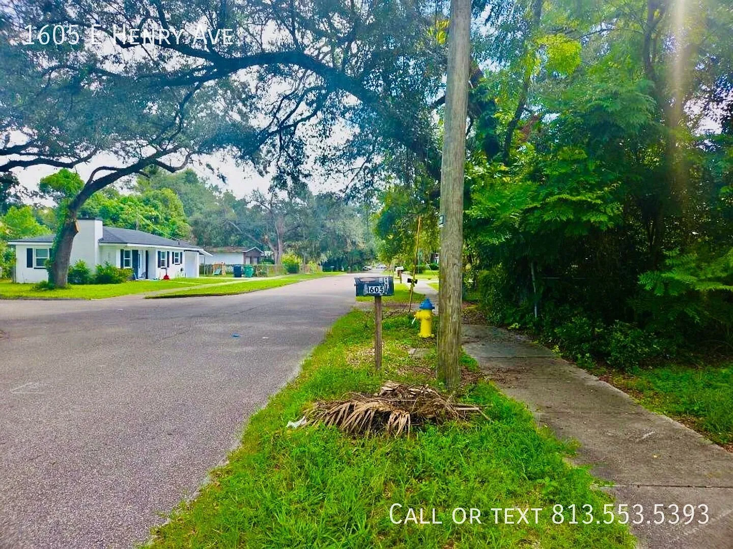 Spacious 3-Bedroom Home in Old Seminole Heights! — Photo 2