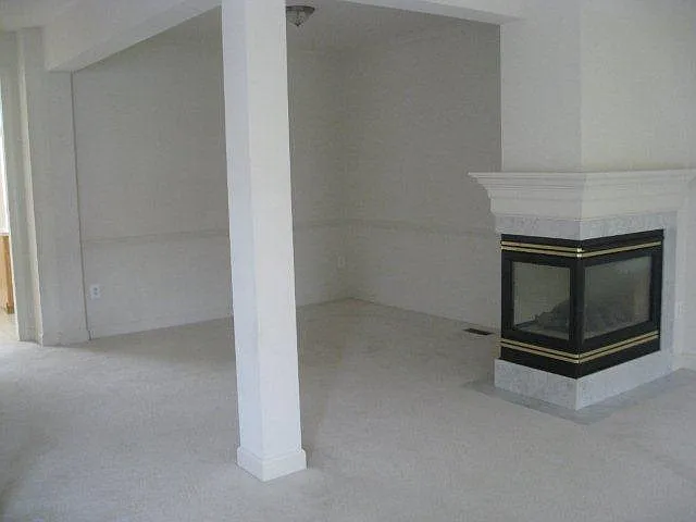 115 Elmira Ln — Photo 5