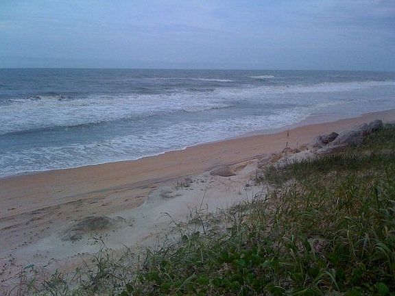 4th image of 1321 N Ocean Shore Blvd