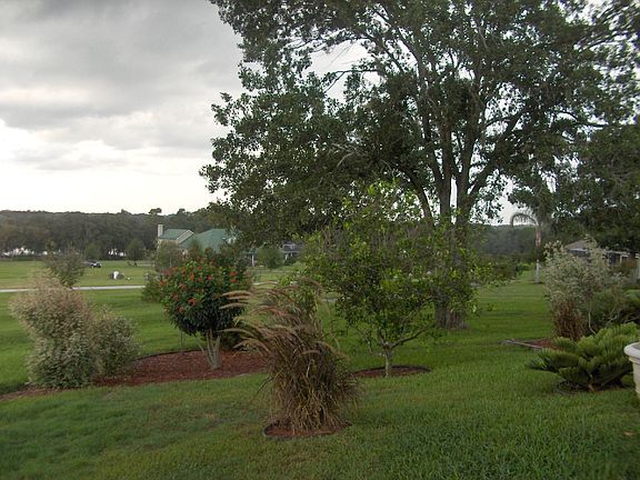 Gorgeous Backyard w/Lake View