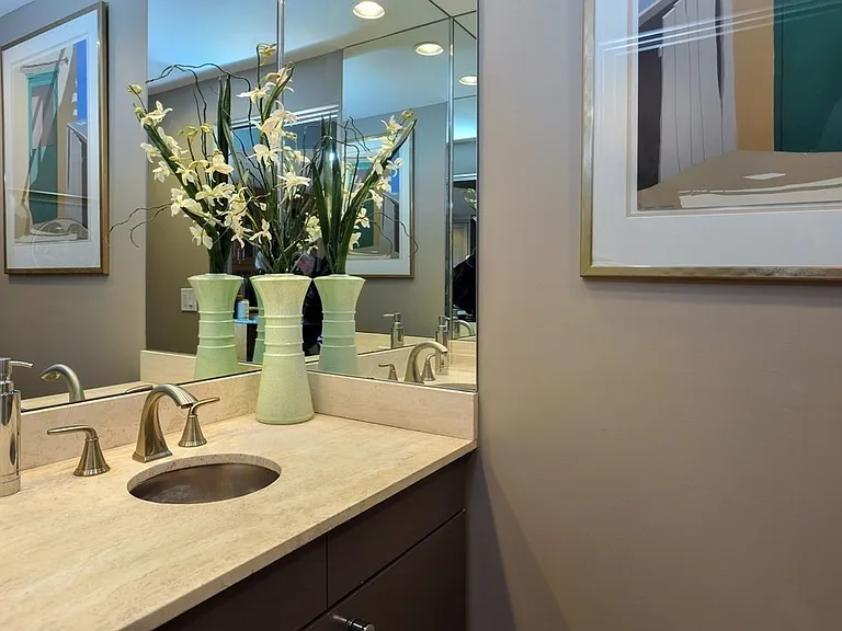 65 E India Row #26F — Photo 18