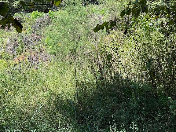 5th image of 1128 Blue Springs Rd