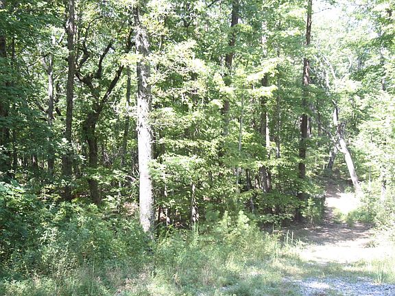 4th image of 6+AC Old Burnt Mtn #L