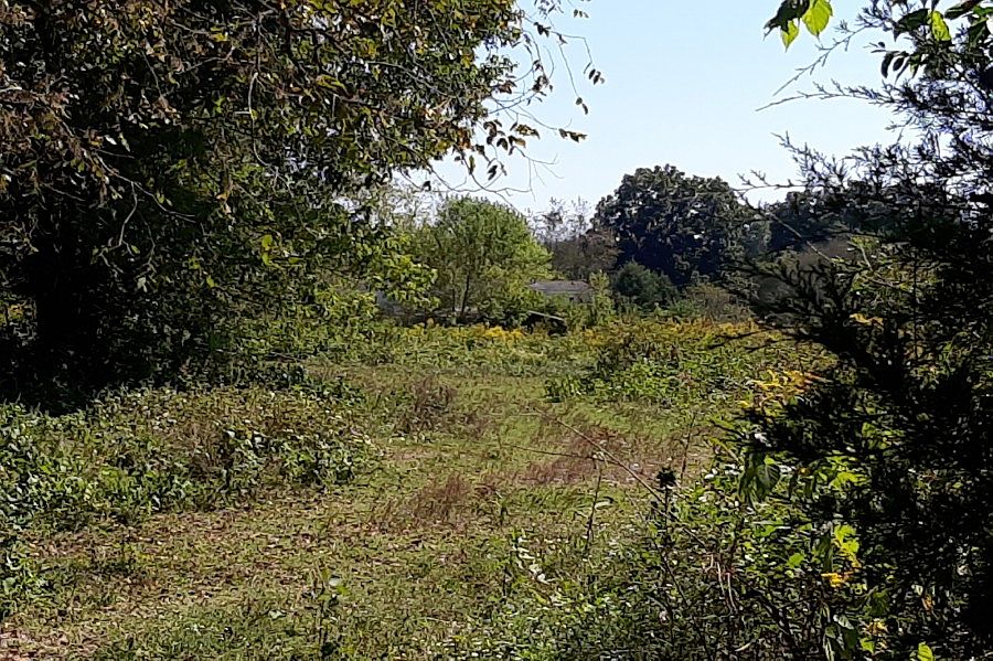 2nd image of 5845 Cainsville Rd