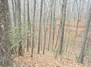 704 Ridgeway St, Sylva, NC 28779