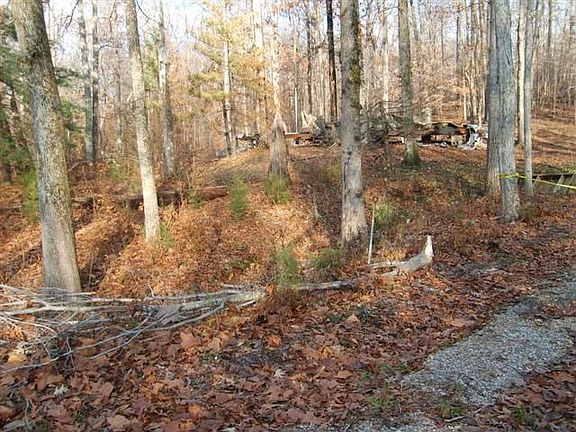 2nd image of 1075 Rockcastle Lakeshore Dr