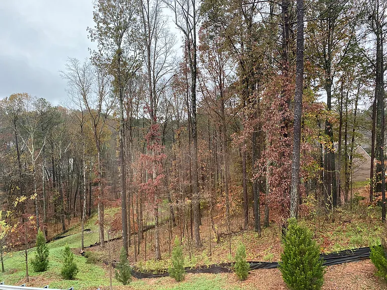 213 Vista Ln #4 — Photo 28