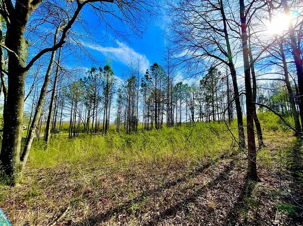 4191 County Road 1669, Cullman, AL 35058