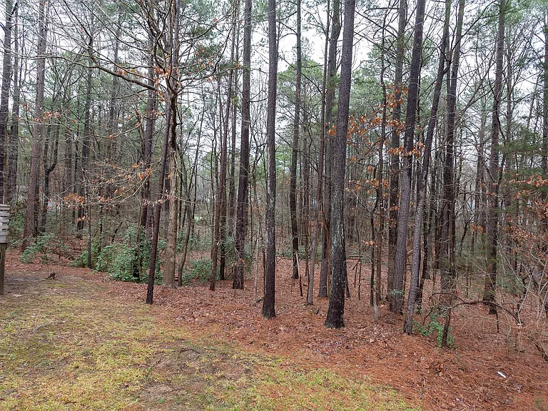 129 Forsyth Dr #B — Photo 18