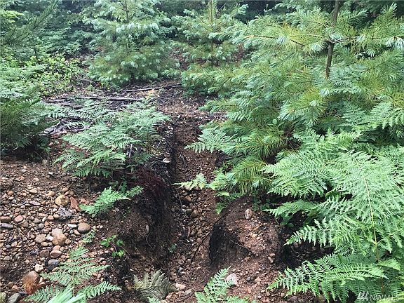 Hole from county perk test for septic design