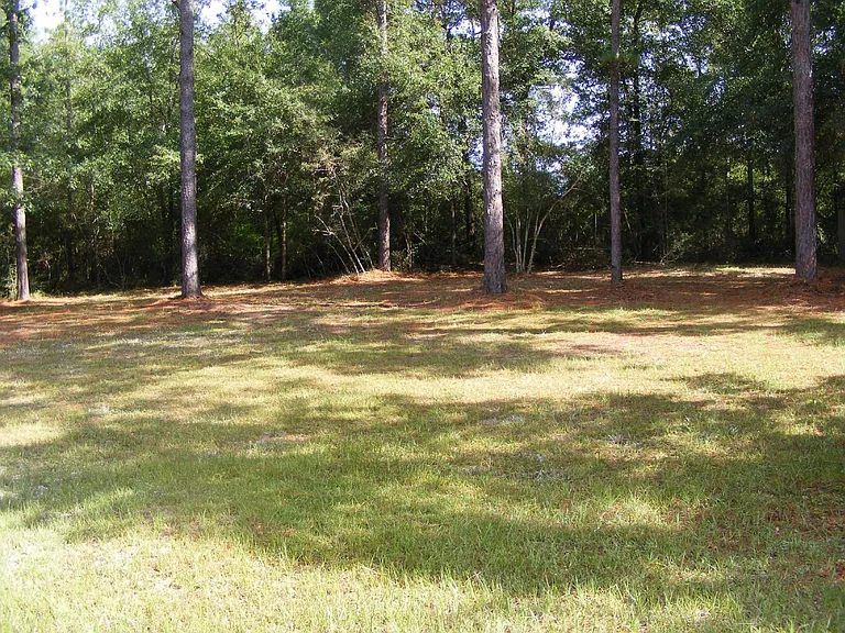 118 Jacob Dr — Photo 17