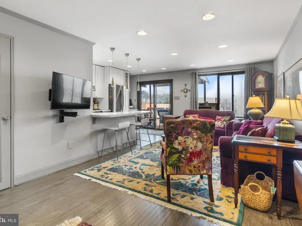 1593 N Colonial Ter #306X, Arlington, VA 22209