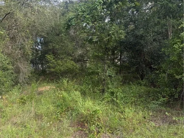 4087 E Dano St, Inverness, FL 34453