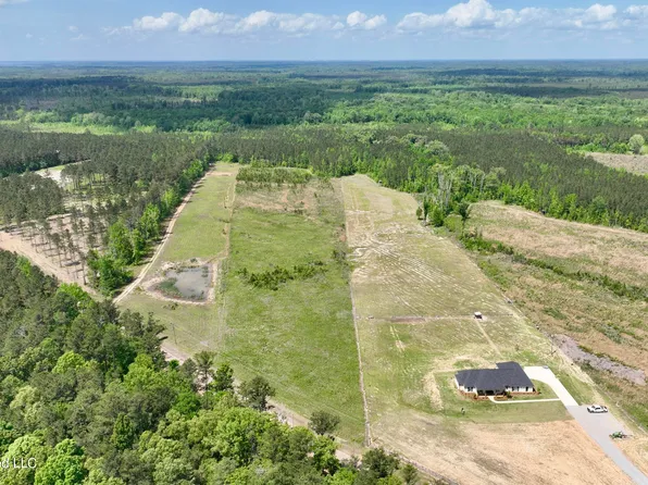 10 Coal Bluff Rd, Lena, MS 39094