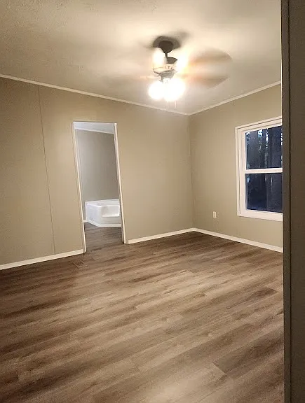 127 Rachel Cv — Photo 13