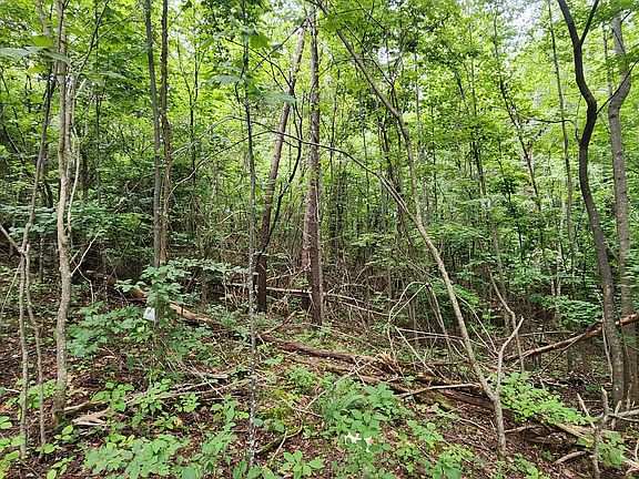 2nd image of LOT 6 Brooks Mill Rd