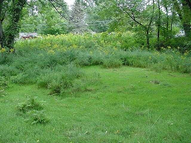 2nd image of 245 Ayrault Rd
