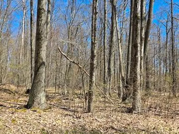 0 Ridge Rd, Coudersport, PA 16915