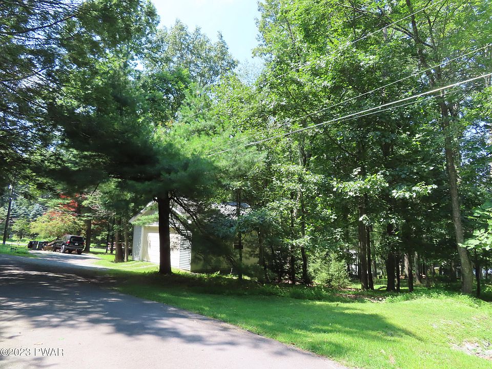 2nd image of Scotch Pine Ln