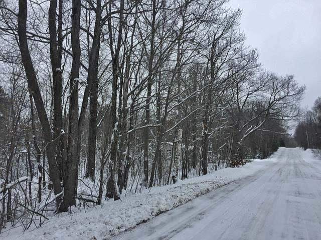 2nd image of On Hanson Lake Rd