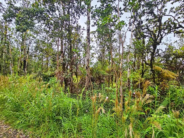Paniolo St Lot 32, Mountain View, HI 96771