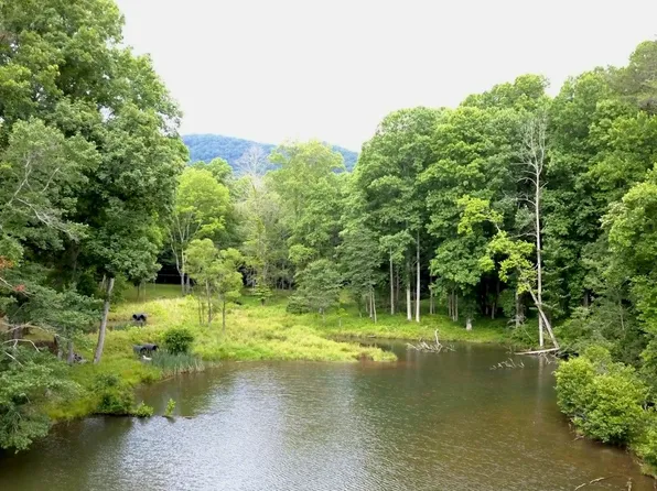 585 Stanley Stover Rd E, Ellijay, GA 30536