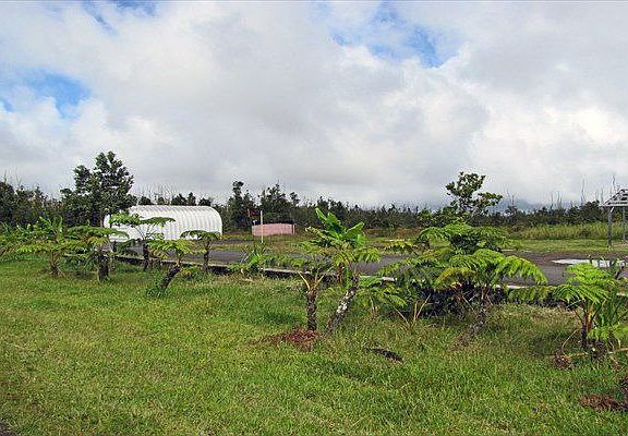 Fern Forest Community Area on Ala Kapena.