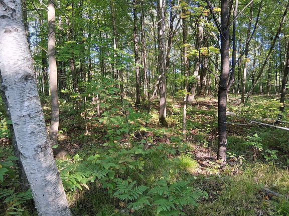 2nd image of 4 National Trail Star Lake Rd