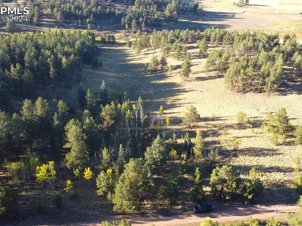 Steel Bit Dr, Lake George, CO 80827