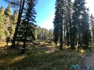 LOT SW 9xn Willow Creek Ranch Rd, Glenwood, NM 88039