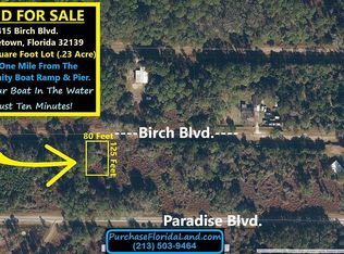 415 Birch Blvd, Georgetown, FL 32139