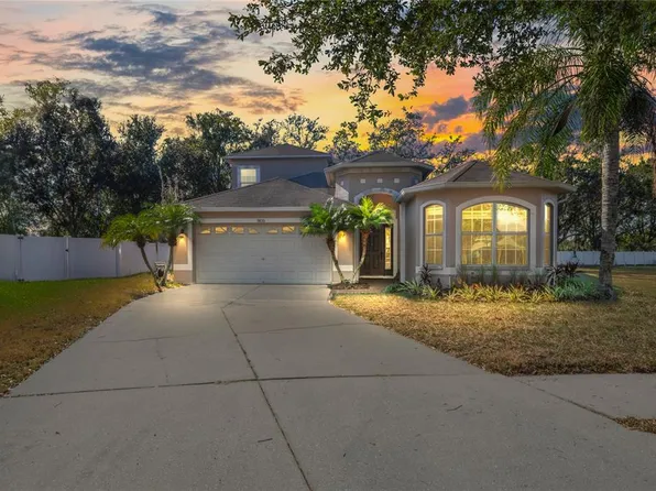 9835 Bowden Mill Ct, Land O Lakes, FL 34638