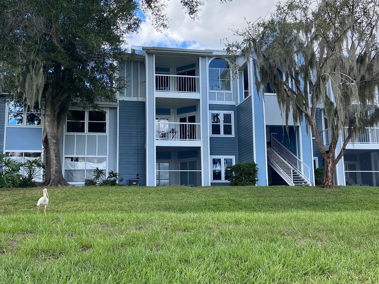 1 bed, $1,399 — Photo 2