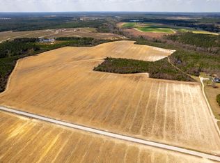 0 Devanes Farm Rd, Harrells, NC 28444