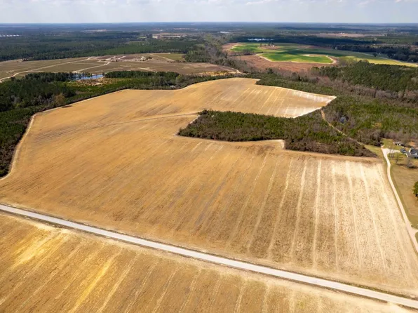 0 Devanes Farm Rd, Harrells, NC 28444